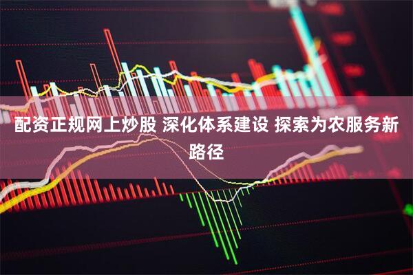 配资正规网上炒股 深化体系建设 探索为农服务新路径