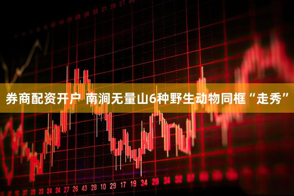 券商配资开户 南涧无量山6种野生动物同框“走秀”